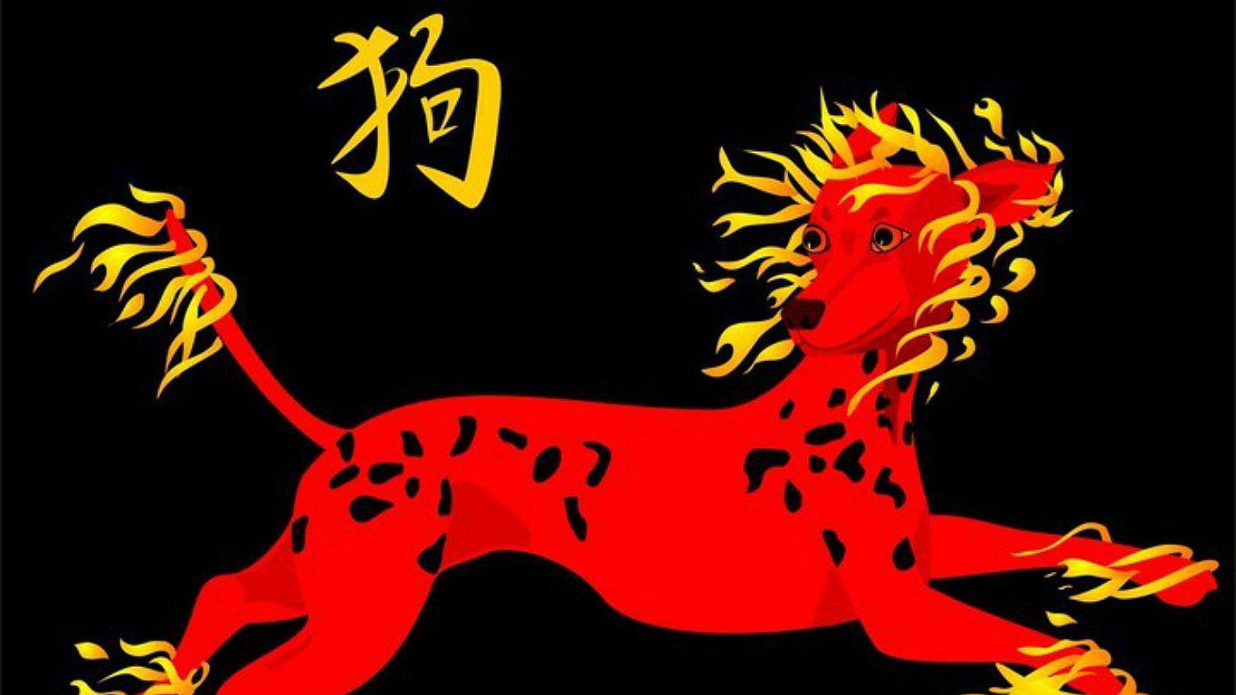 ​Año del Perro 2018: ¿cómo son las personas nacidas bajo este año?