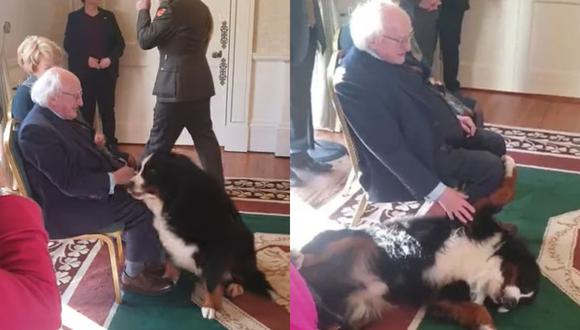 Presidente de Irlanda causa ternura al acariciar a su perro en evento oficial