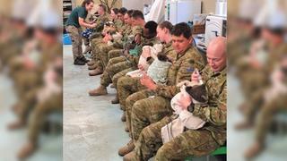Australia: Soldados alimentan a koalas rescatados en sus tiempos de descanso