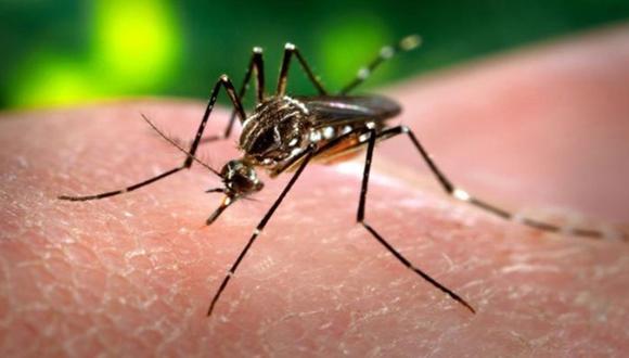 8 hábitos que debes poner en práctica para protegerte del virus zika