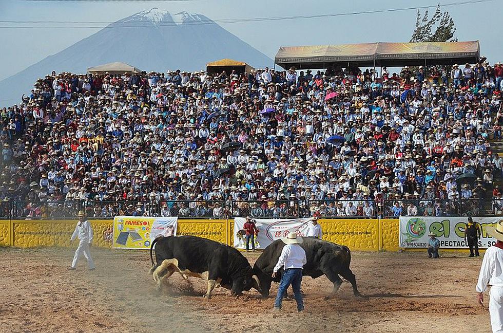 Rey Manolo obtiene su tricampeonato en evento Campeón de Campeones en Socabaya [FOTOS]
