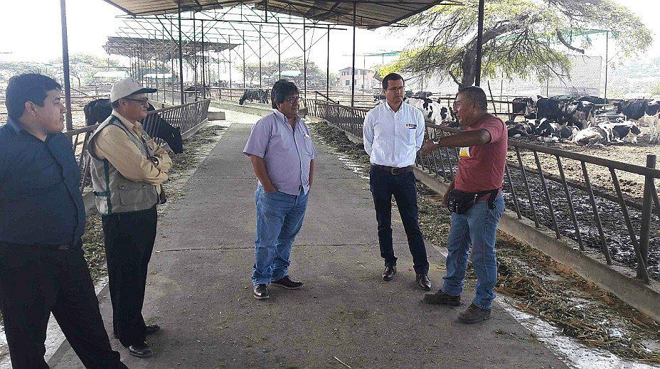 La Libertad: Problemáticas de ganaderos regionales serán debatidas en el gabinete del Minagri