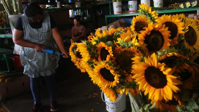 Flores (Foto: Gonzalo Córdova)