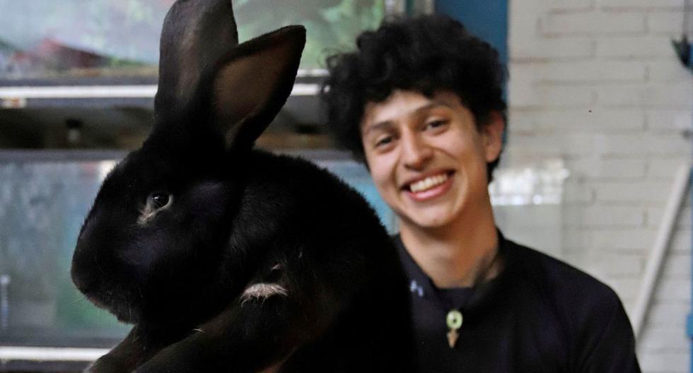 Fotografía que muestra al joven Kiro Yakin, mientras enseña una cría de conejo Flandes el 25 de marzo de 2021, en el municipio de Huauchinango, en el estado de Puebla (México). (EFE/Hilda Ríos).