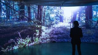 Museo de Arte de Lima anuncia la exposición inmersiva “Paisajes de Luz” de Joanie Lemercier
