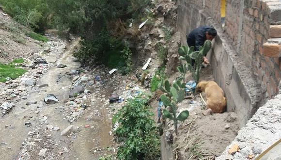 Ayacucho: Policías rescatan a perrita que iba a caer a abismo