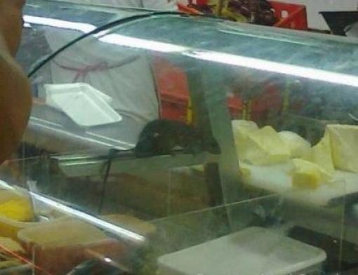Supermercado tenía rata dentro del mostrador de quesos