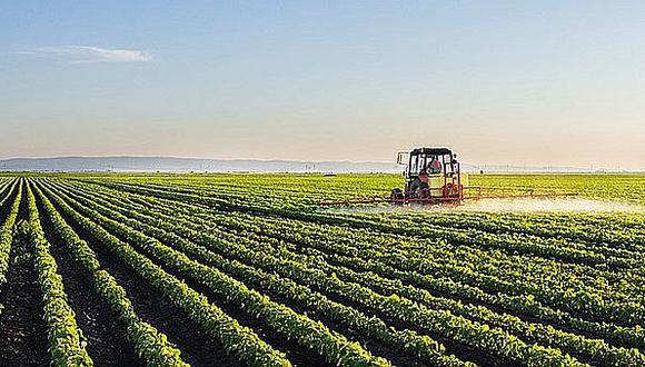 Congreso posterga la ampliación de la Ley de Promoción Agraria