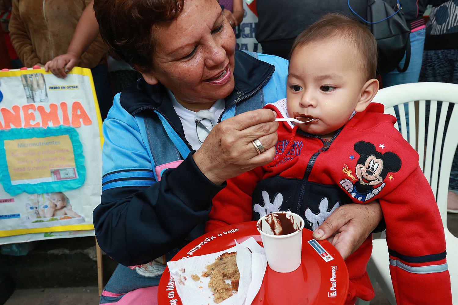 Ministerio de Salud monitorea lucha contra la anemia infantil con visitas domiciliarias