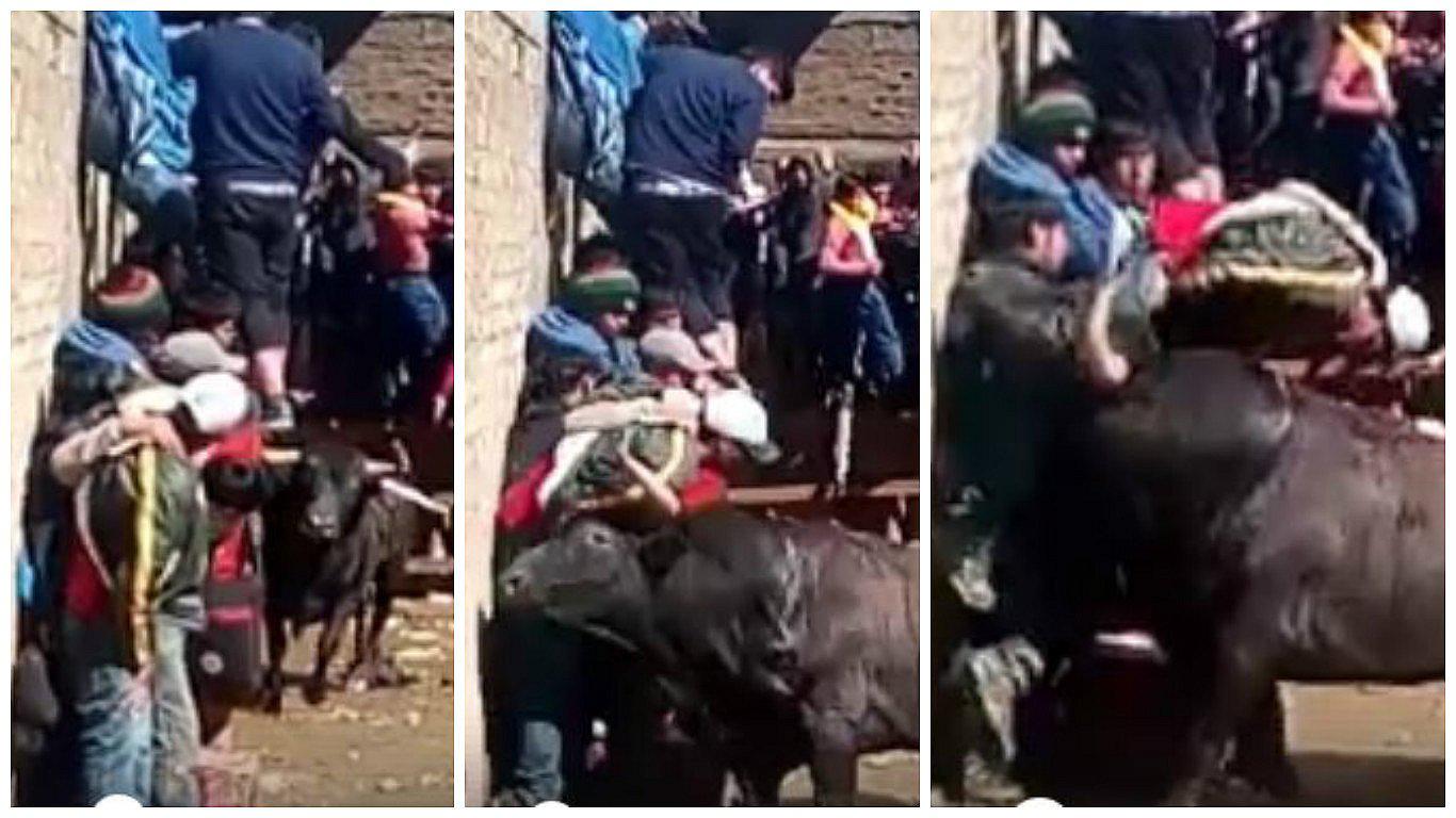 Huancavelica: pánico se desata en fiesta cuando toro embiste a ebrio (VIDEO)