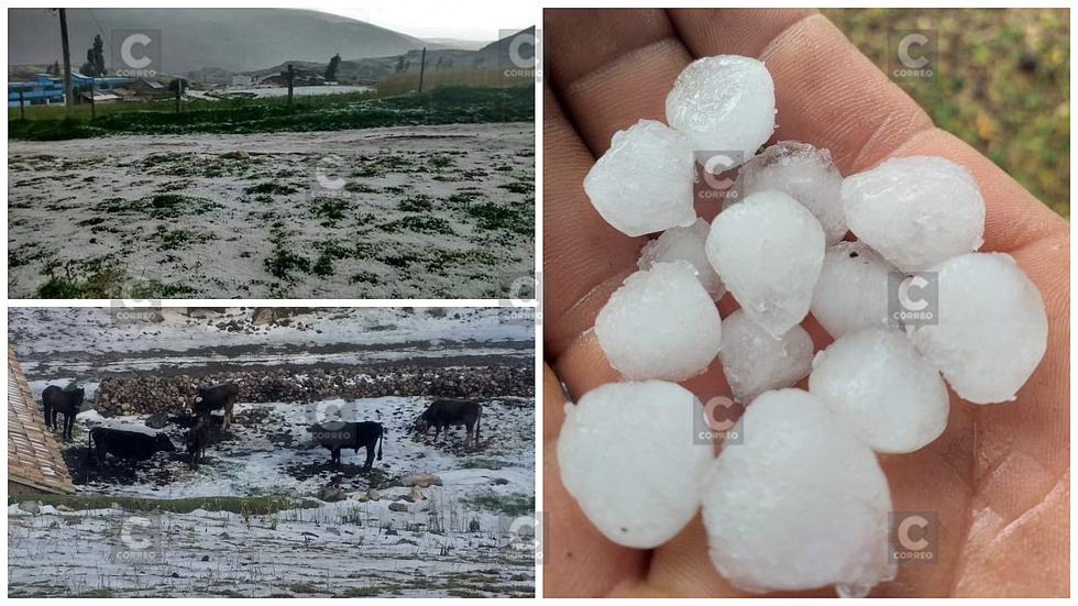 ​Intensa granizada habría perjudicado hectáreas de siembra en Canipaco (FOTOS)