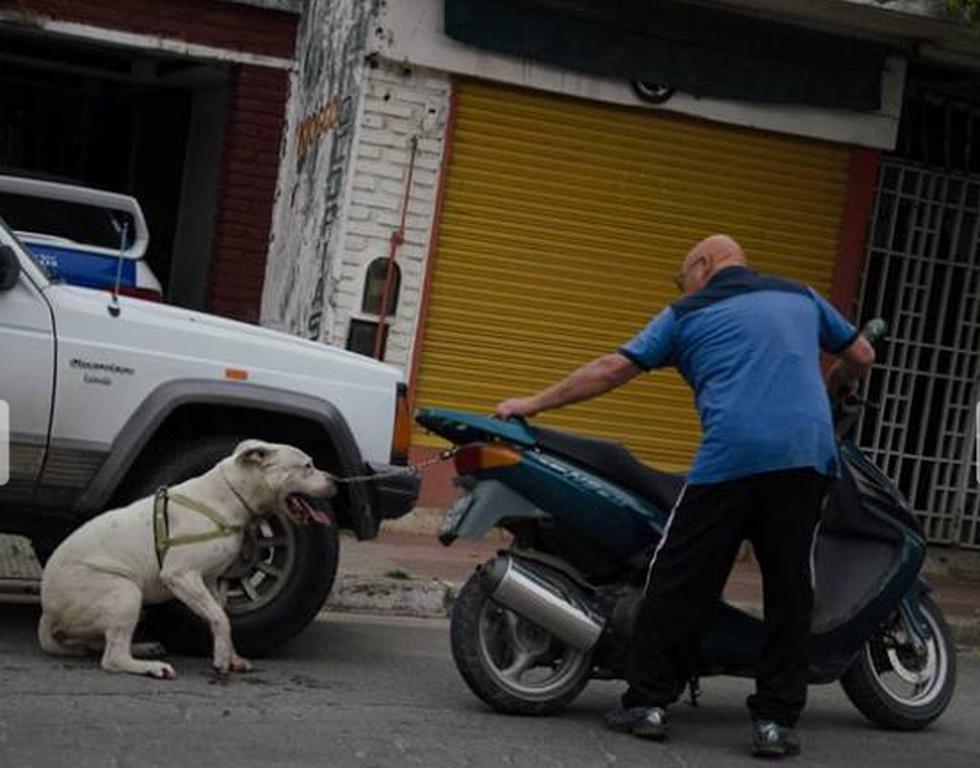 Fotógrafo capta a perro siendo arrastrado por moto de su dueño (FOTOS)