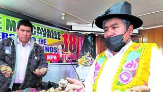 Guano de corral es insuficiente y se reduce producción de papa en la zona sur de Huancayo