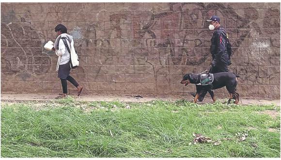 Agentes acompañados de perros entrenados para la detección de drogas y persecuciones patrullan la ciudad.