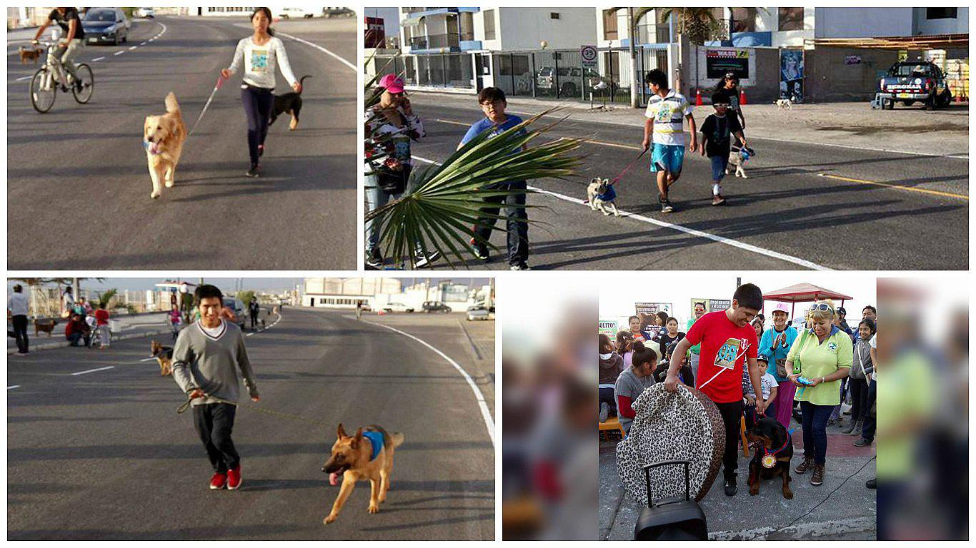 Ilo: Mascotas y sus amos corrieron juntos en la Perrotón 2016