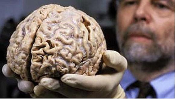 'Deja vu’ es un “truco del cerebro” y no algo sobrenatural, según Universidad de Colorado