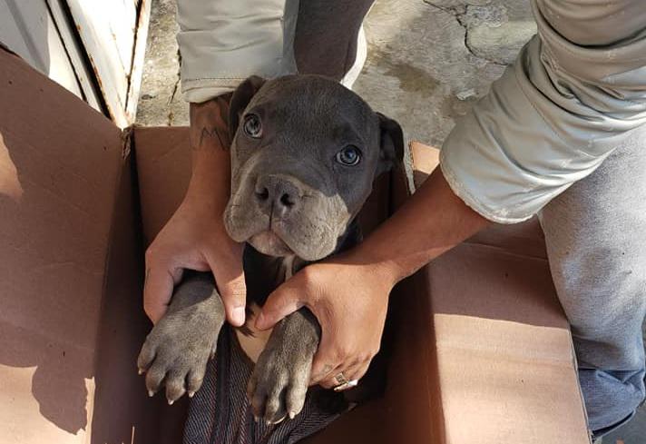 Foto: Facebook Xollin