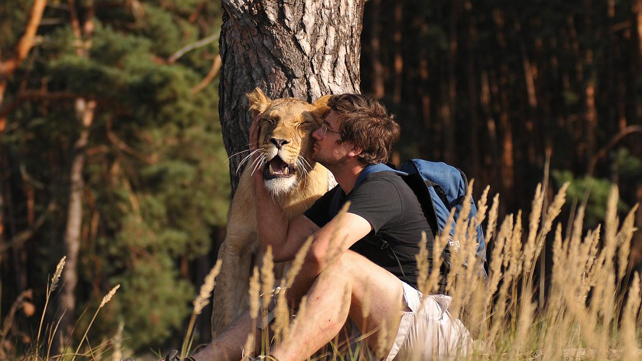Hombre perdió la vida luego de ser atacado por león de 9 años que criaba en su casa (VIDEO)