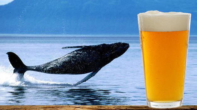 Islandia crea la cerveza de ballena "la bebida de los vikingos"