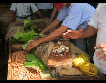 Cooperativa Naranjillo potenciará producción