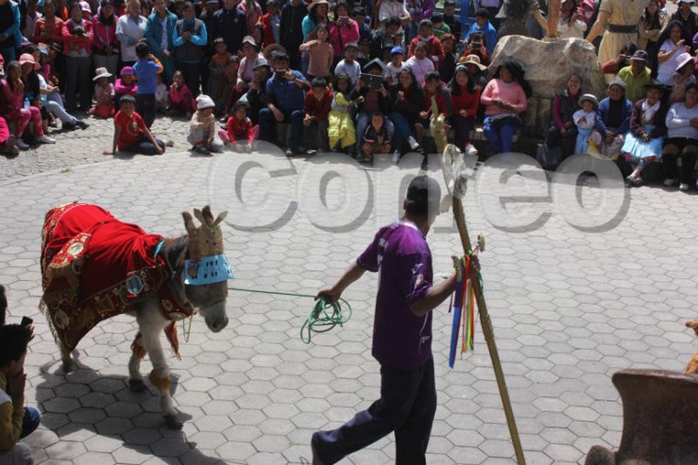 Vea la divertida carrera de burros de Semana Santa (Fotos)