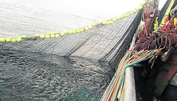 Chimbote: Recomiendan que temporada de pesca no se prolongue por más tiempo