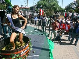 Alistan VII Festival de la Vendimia en Moquegua