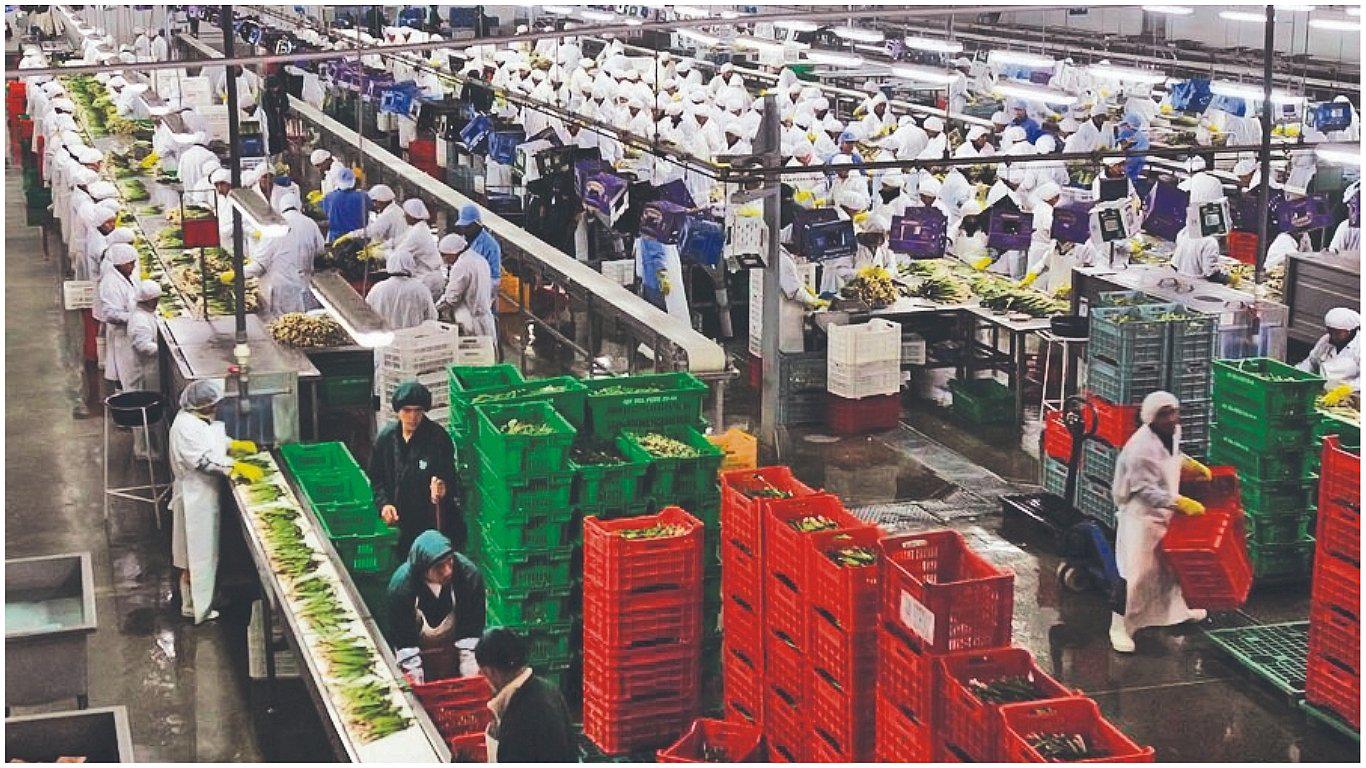 Sector agroexportador dejará pasar inversión por $3500 millones