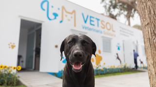 Comas: inauguran primera veterinaria solidaria en el club Sinchi Roca con tarifa social