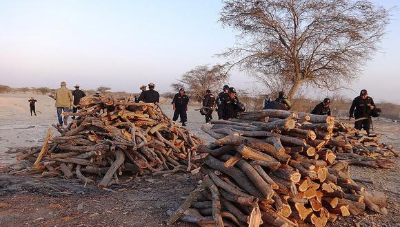 Piura: Intervienen hornillas artesanales ilegales que iban a producir 19 toneladas de carbón (VIDEO)