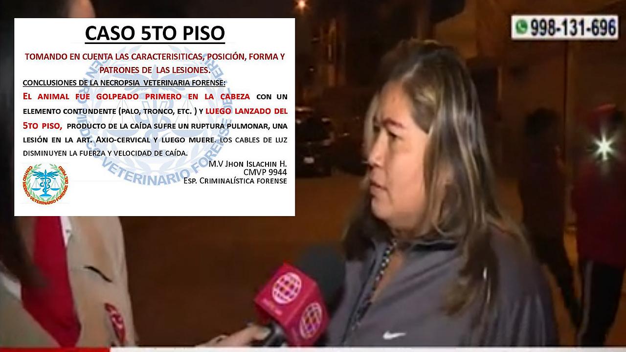 Informe forense revela que perro fue golpeado con objeto contundente antes de ser lanzado del 5to piso