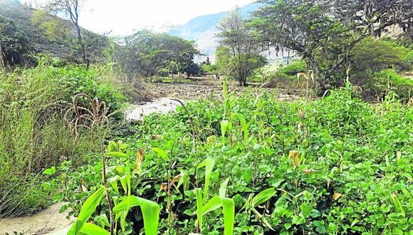 Seguro agrario evalúa daños  producidas en 33 localidades