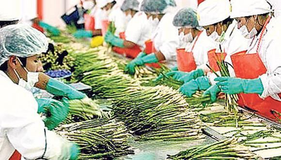 Salarios suben un 20% en el agro