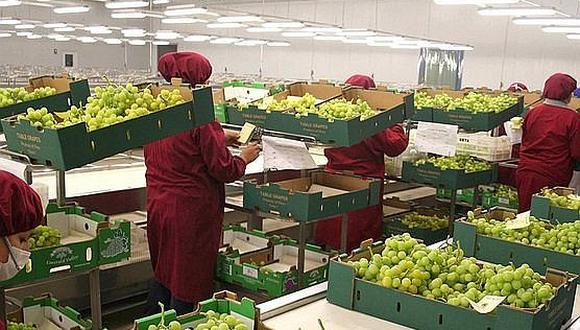 Perú aumentó en 33% su exportación de uvas en el primer trimestre del año