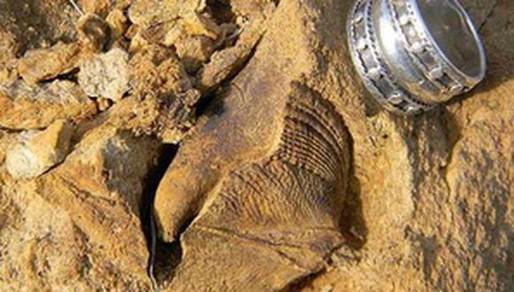 Chile: Descubren fósiles de 300 millones de años de antigüedad