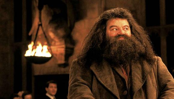 'Hagrid' de Harry Potter entristece al aparecer en evento sin poder caminar (FOTOS)