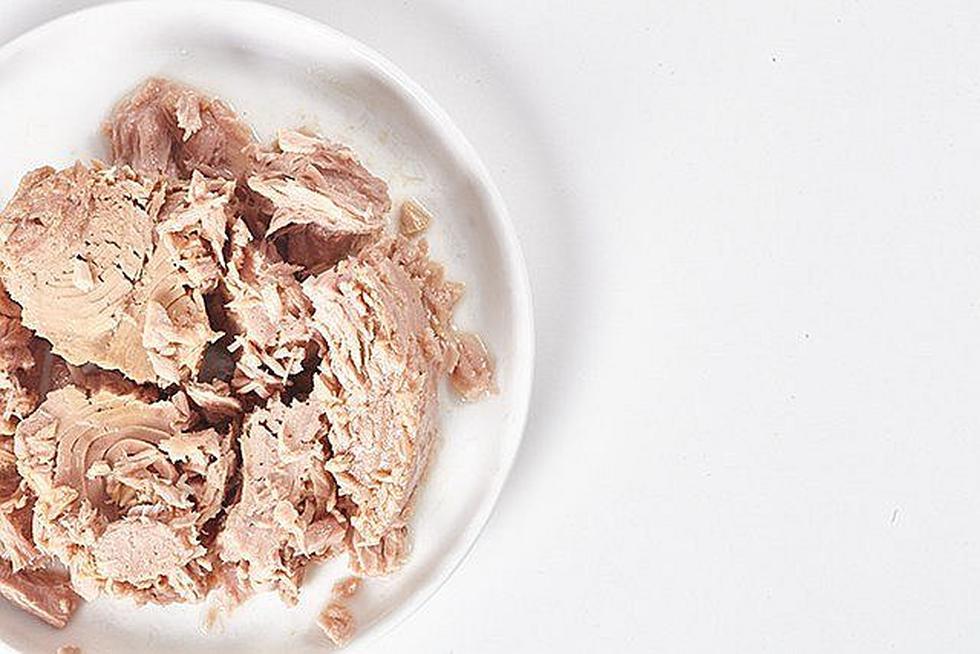 Salud: Estudio alerta que "los niños y embarazadas no deben consumir atún"