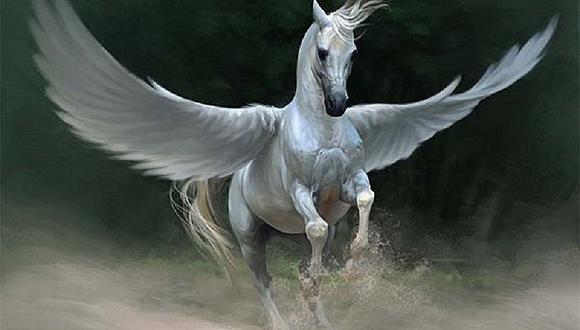 ​Pegaso: El caballo con alas que solo puede ser domado por hombres de buen corazón