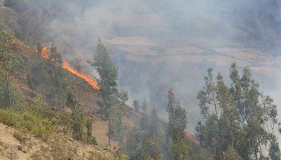 Más de 60 incendios forestales ocurrieron en los 2 últimos años