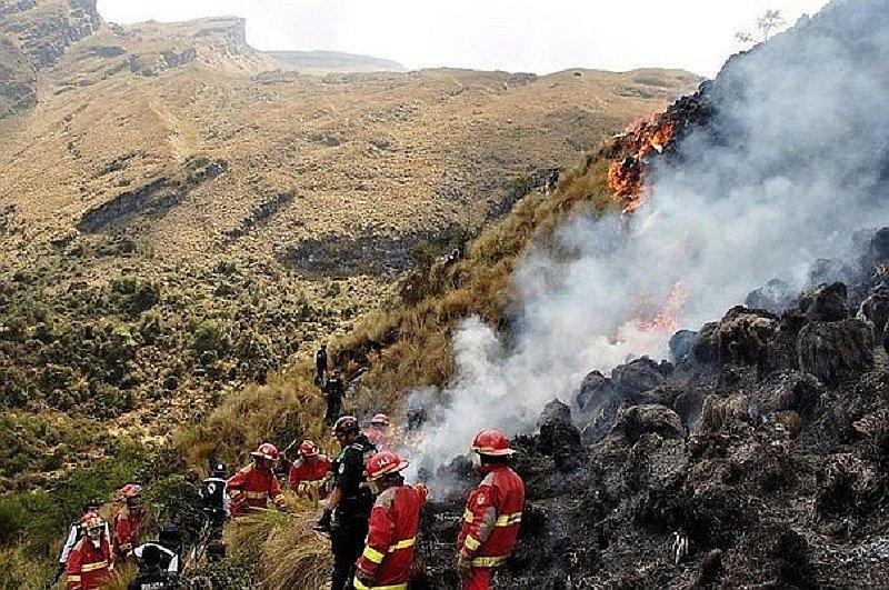 Alarmante: Ola de incendios forestales se registran en varias regiones del país