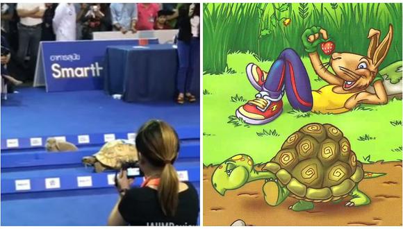 ​YouTube: carrera entre la liebre y la tortuga se vuelve viral y no creerás quién fue el ganador (VIDEO)