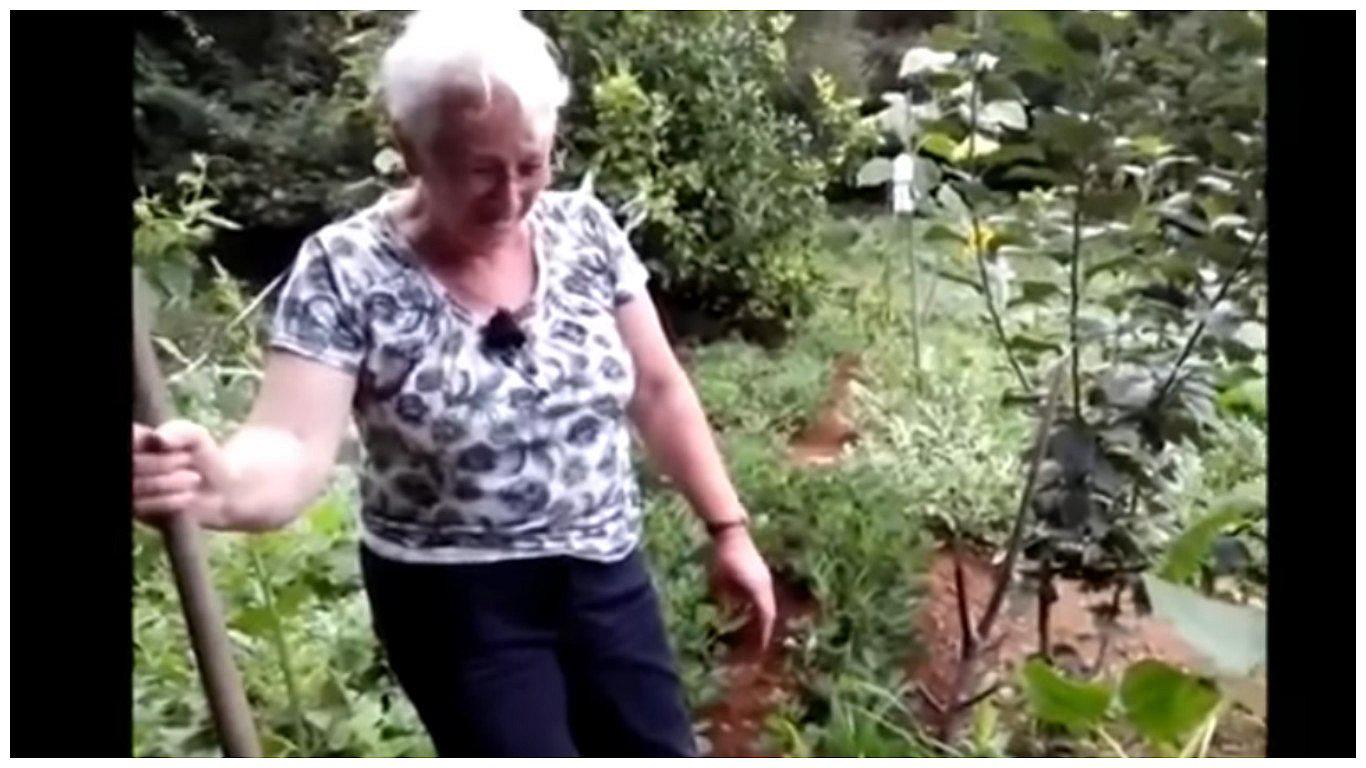 ​YouTube: ancianas grababan su huerta y lo que hallaron luego te sorprenderá [VIDEO]