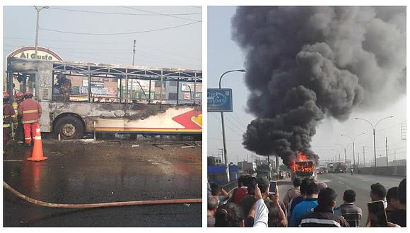 Los Olivos: Ómnibus quedó en cenizas tras incendio en Panamericana Norte (FOTOS)