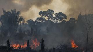 Calentamiento global puede alargar un mes la temporada de grandes incendios en el planeta
