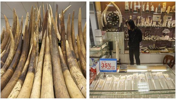 China: entra en vigor prohibición total del comercio de marfil (FOTOS)