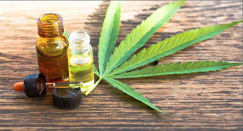 Publican reglamento de ley de cannabis medicinal y sus derivados