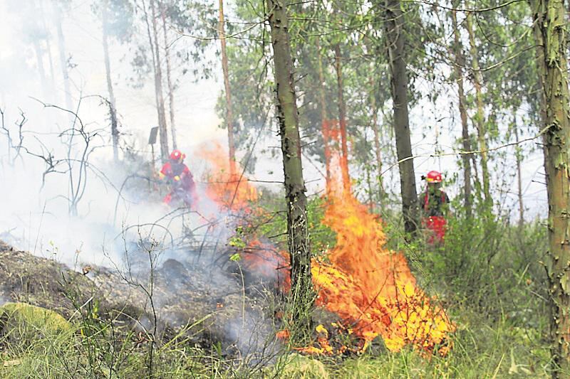 Infierno en la naturaleza: ola de incendios forestales en Perú