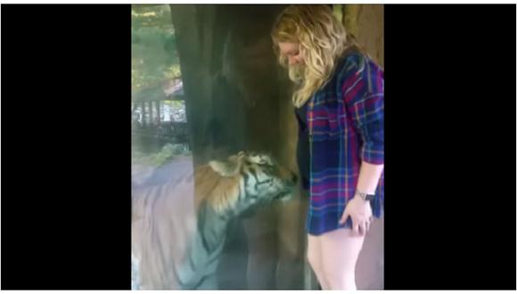 ​YouTube: mira el tierno momento protagonizado por embarazada y un tigre 
