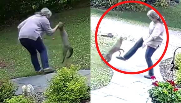 Una mujer fue atacada por un zorro rabioso mientras hablaba por teléfono en el patio de su casa ubicada en Ithaca, Nueva York. | Crédito: Kennedy News Media