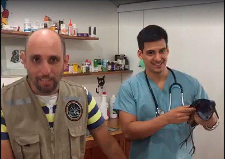 ​#PrimosAlRescate: un biológo y un veterinario rescatan animales silvestres en Iquitos